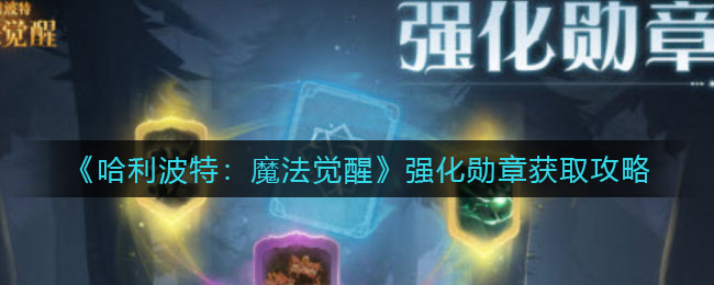 哈利波特魔法觉醒强化勋章怎么获取