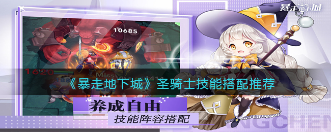 暴走地下城圣骑士技能怎么搭配