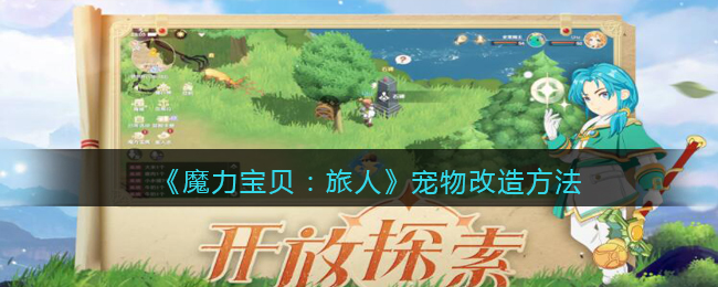魔力宝贝旅人宠物怎么改造