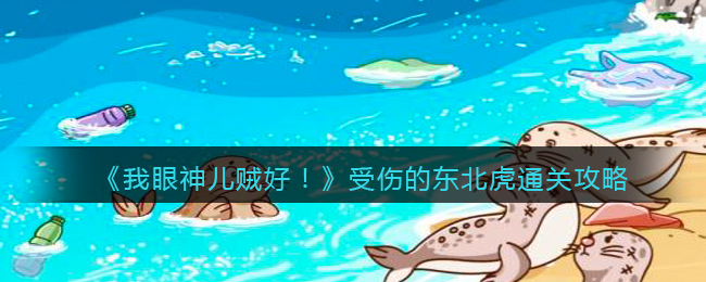 我眼神儿贼好受伤的东北虎怎么通关