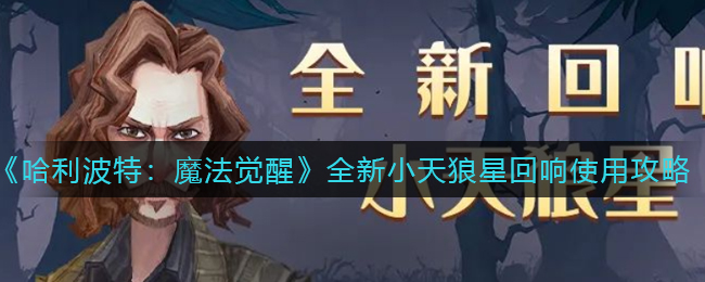 哈利波特魔法觉醒全新小天狼星回响怎么使用