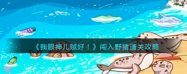 我眼神儿贼好闯入野猪怎么通关