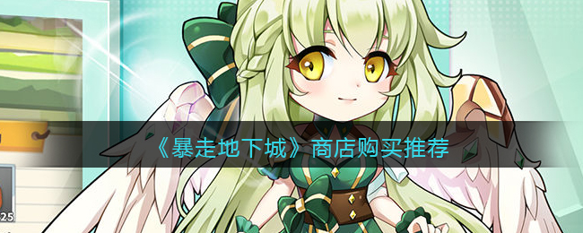 暴走地下城商店购买怎么选择
