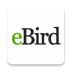 eBird游戏图标