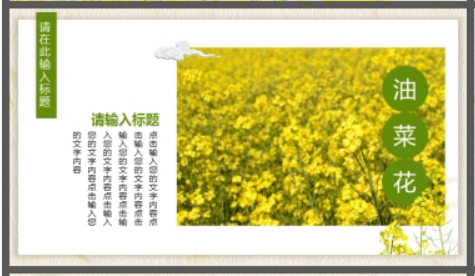 水彩油菜花PPT模板1