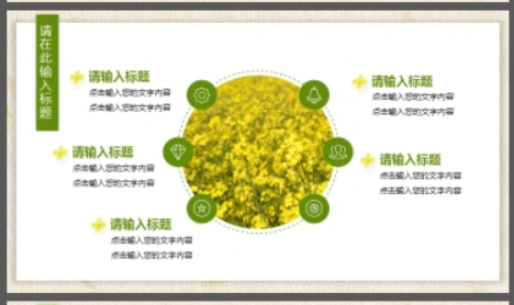 水彩油菜花PPT模板2