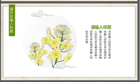 水彩油菜花PPT模板3