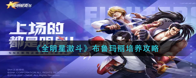 全明星激斗布鲁玛丽怎么培养