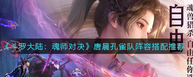斗罗大陆魂师对决唐晨孔雀队阵容怎么搭配