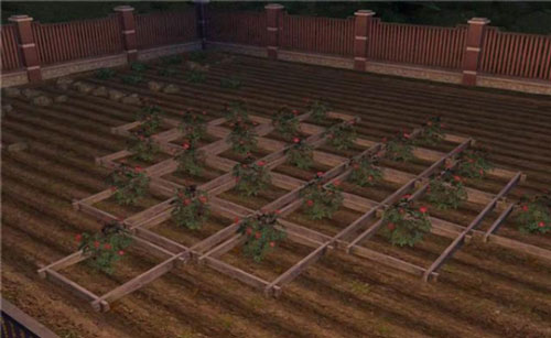 明日之后怎么刷新币快？_明日之后新币速刷心得技巧介绍