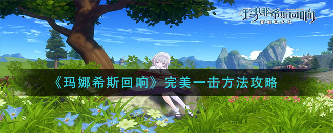 玛娜希斯回响完美一击怎么做