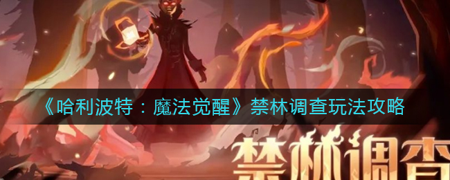 哈利波特魔法觉醒禁林调查怎么玩