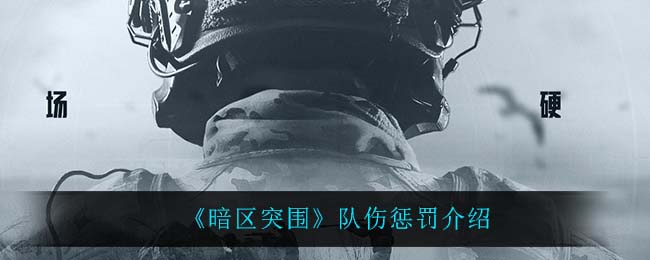 暗区突围队伤惩罚怎么样