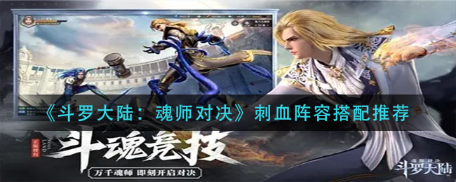 斗罗大陆魂师对决刺血阵容怎么搭配