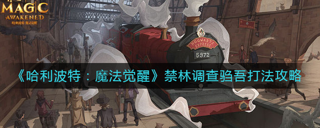 哈利波特魔法觉醒禁林调查驺吾怎么打