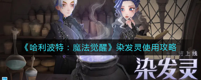 哈利波特魔法觉醒染发灵怎么使用