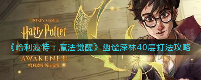 哈利波特魔法觉醒幽谧深林40层怎么打