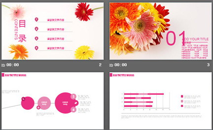 唯美菊花背景PPT模板1