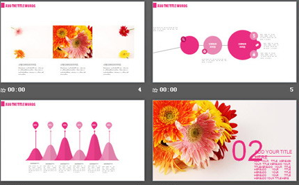 唯美菊花背景PPT模板2