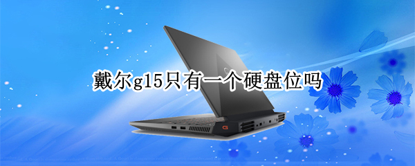 戴尔g15只有一个硬盘位吗
