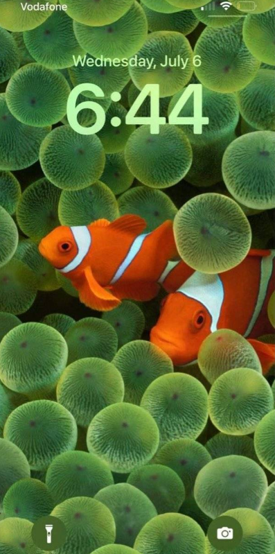 iOS16Beta3小丑鱼壁纸展示