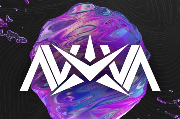 英雄联盟手游nv是哪个国家的战队