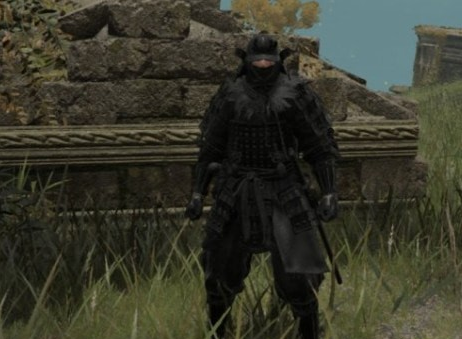 艾尔登法环黑暗武士版芦苇之地铠甲MOD1