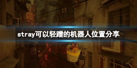 stray机器人怎么找