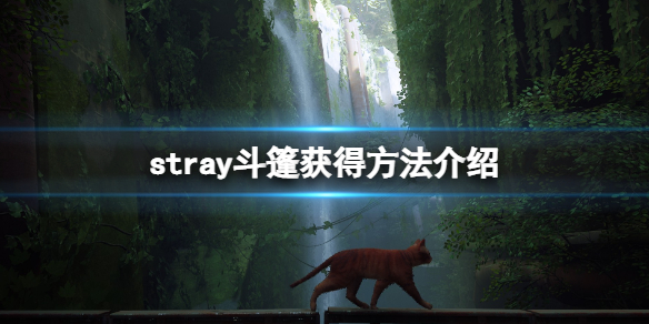 stray斗篷在哪获取