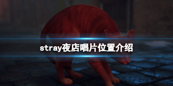 stray夜店唱片怎么找