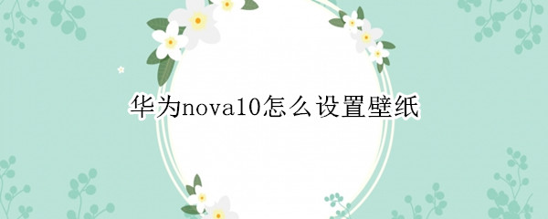 华为nova10如何更换壁纸