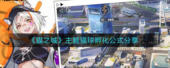 猫之城主题猫球孵化公式是什么