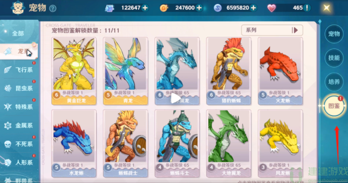 魔力宝贝旅人宠物怎么选择