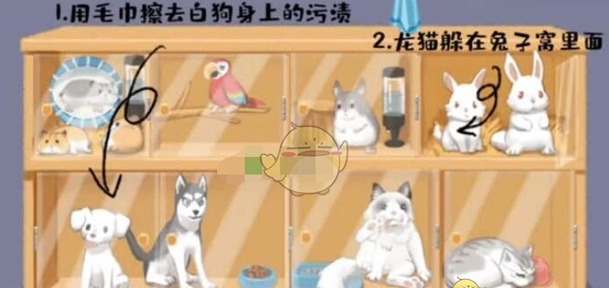 超级收纳馆第3关阿猫阿狗如何通关