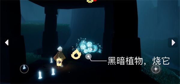 光遇8.2每日任务攻略2022