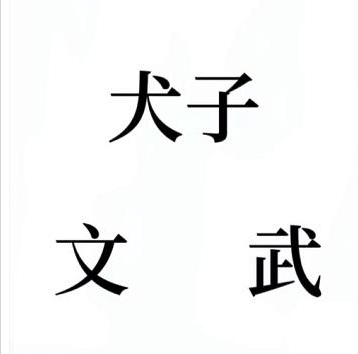 抖音文字的奥妙虎父无犬子如何通关