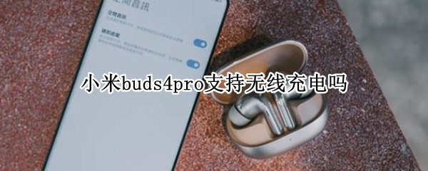 小米buds4pro适配什么充电器