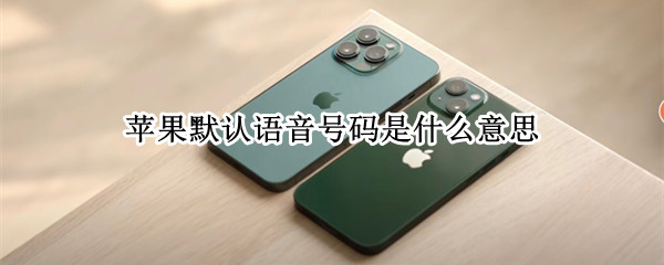 苹果手机默认语音号码怎么设置