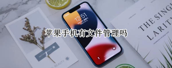 苹果手机文件管理在哪打开