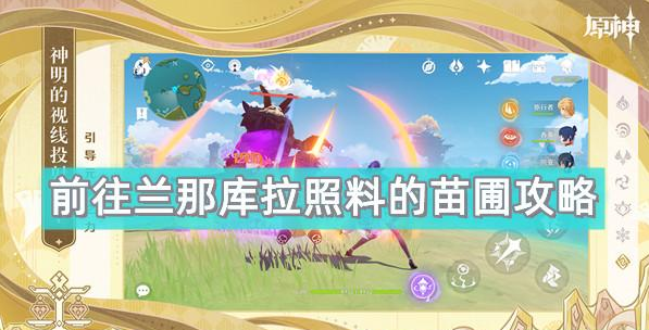 原神前往兰那库拉照料的苗圃怎么做