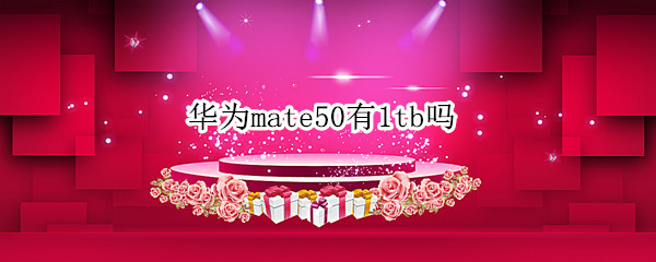 华为mate50最大内存有1tb吗