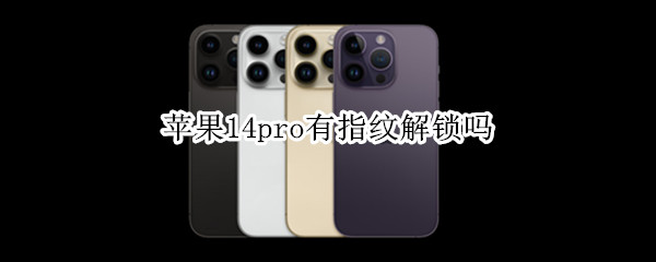 苹果14pro支持指纹解锁吗