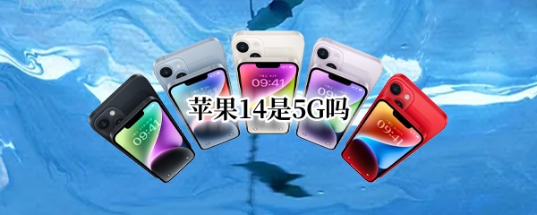 苹果14支持5G吗