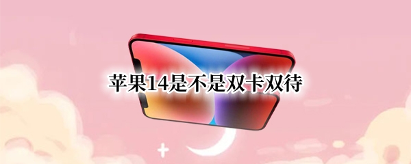 苹果14支持双卡双待吗