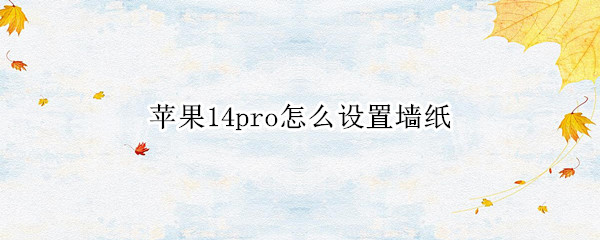 苹果14pro如何设置墙纸