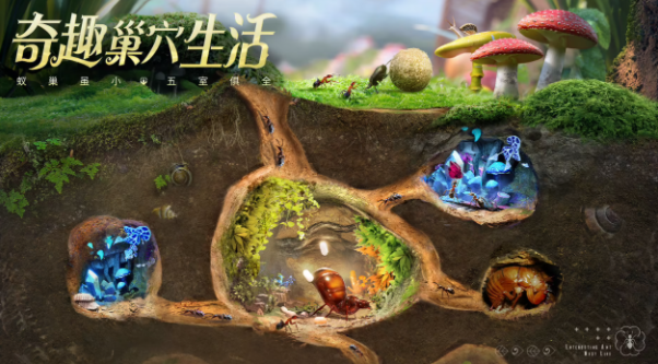 小小蚁国可以搬砖吗