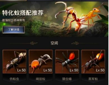 小小蚁国野怪强度怎么样