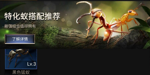 小小蚁国特化蚁怎么搭配阵容