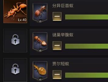 小小蚁国兵蚁培养方法是什么