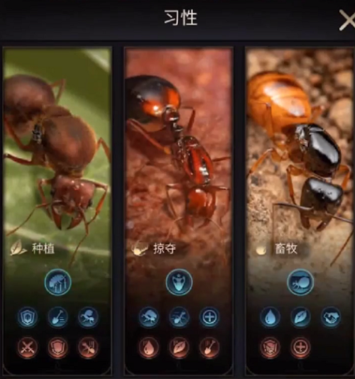 小小蚁国习性怎么选